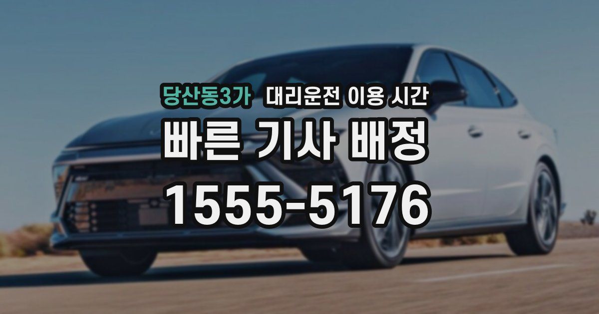 당산동3가 대리운전 이용 시간