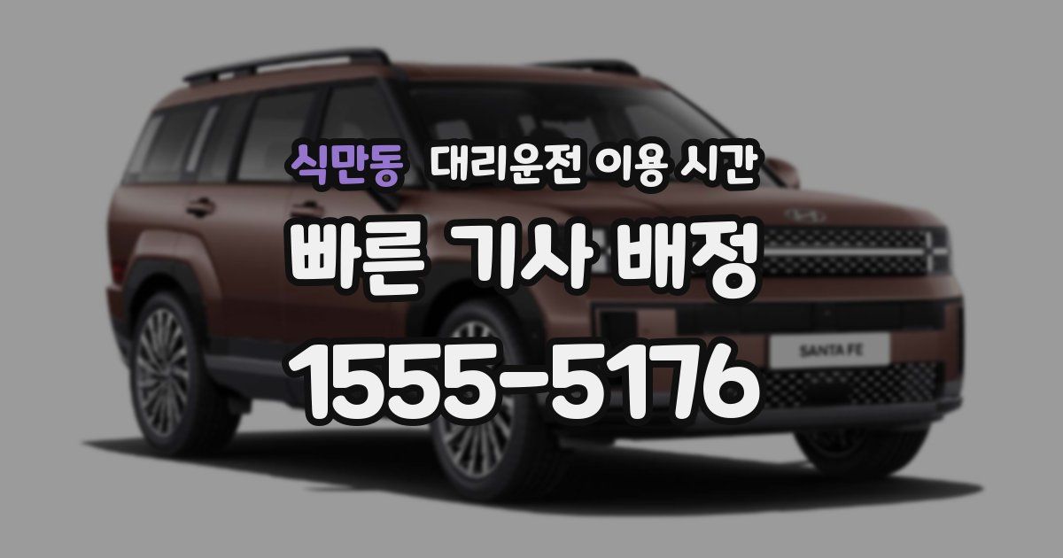 식만동 대리운전 이용 시간