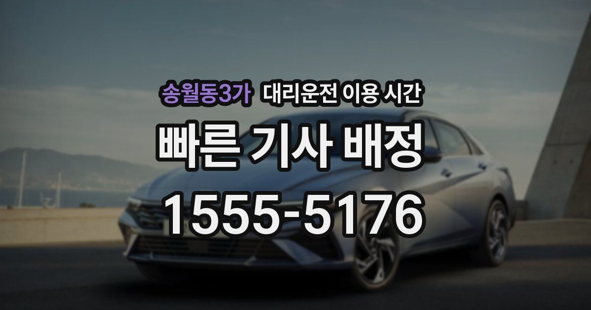 송월동3가 대리운전 이용 시간