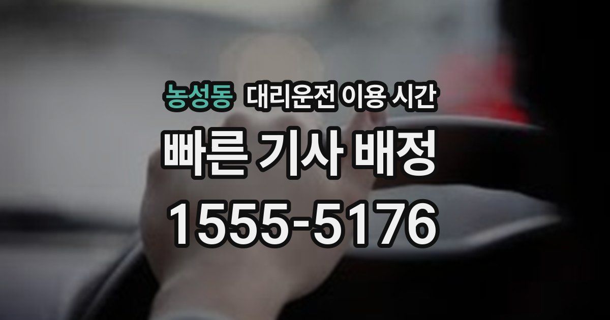 농성동 대리운전 이용 시간