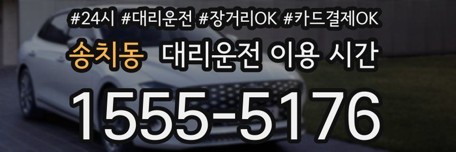 송치동 대리운전 이용 시간