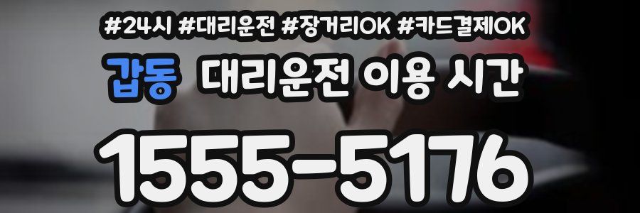 갑동 대리운전 이용 시간