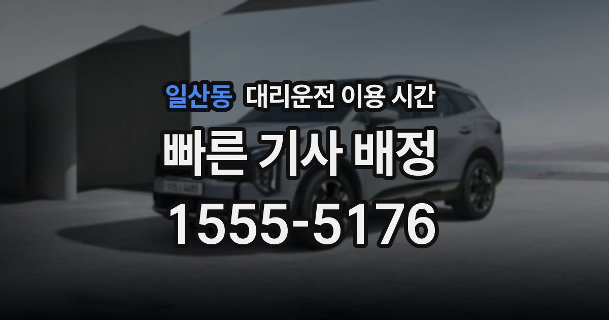 일산동 대리운전 이용 시간