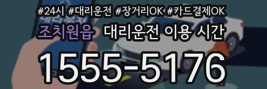 조치원읍 대리운전 이용 시간