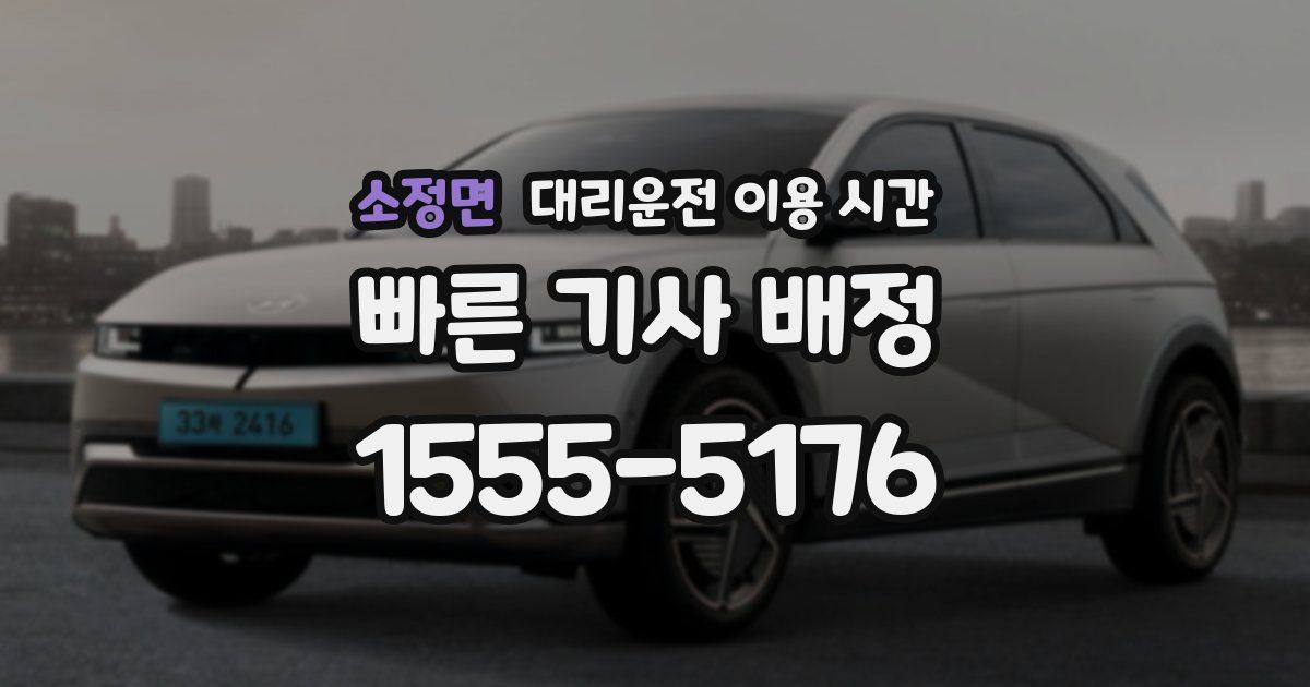 소정면 대리운전 이용 시간