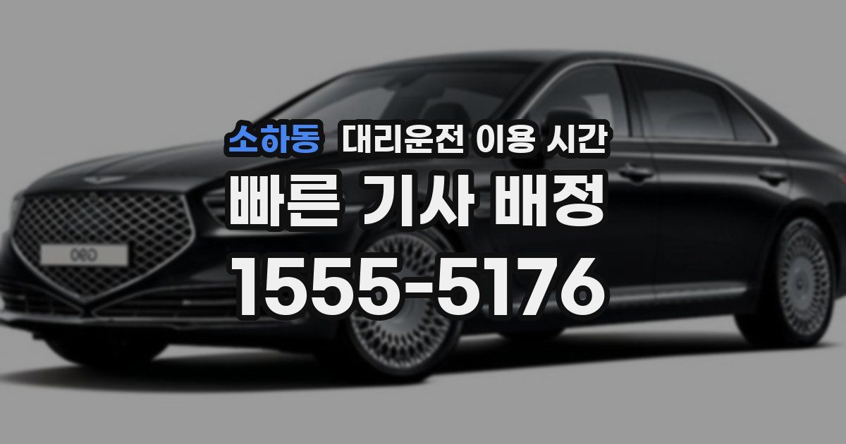 소하동 대리운전 이용 시간