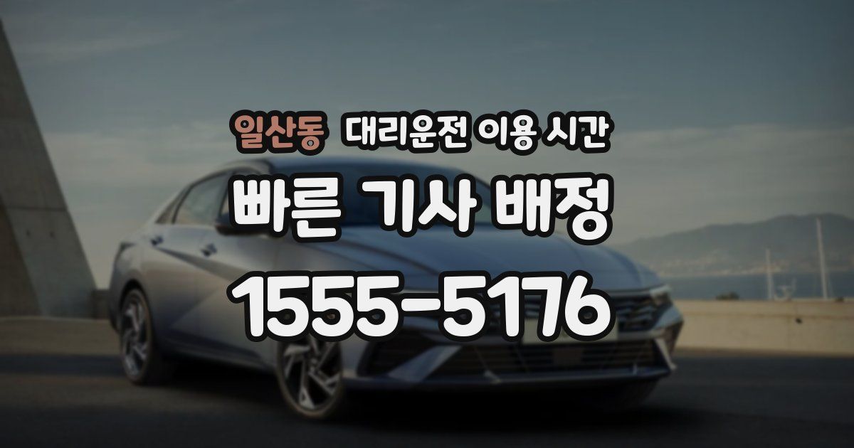 일산동 대리운전 이용 시간
