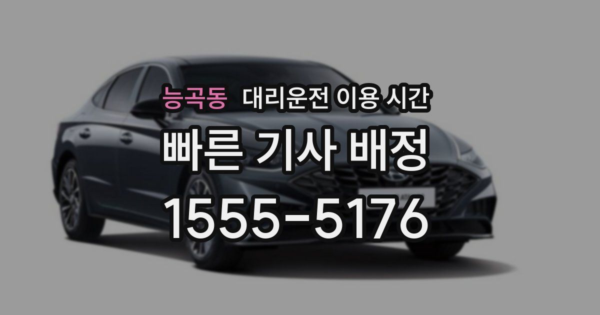 능곡동 대리운전 이용 시간
