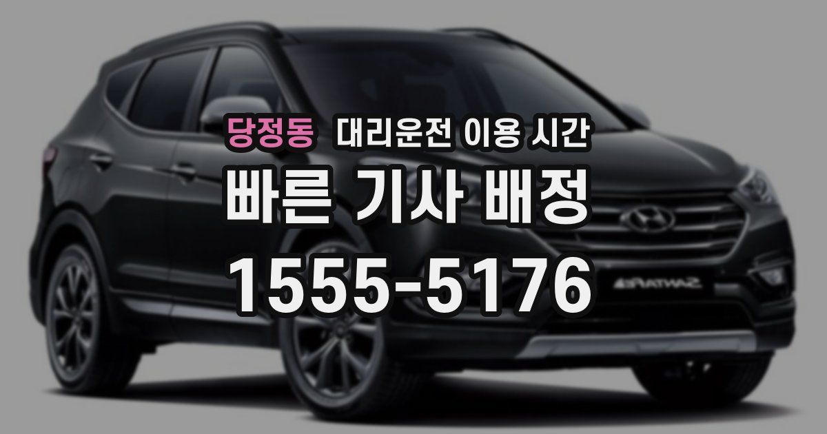 당정동 대리운전 이용 시간