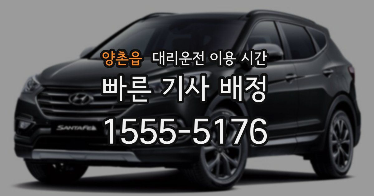 양촌읍 대리운전 이용 시간