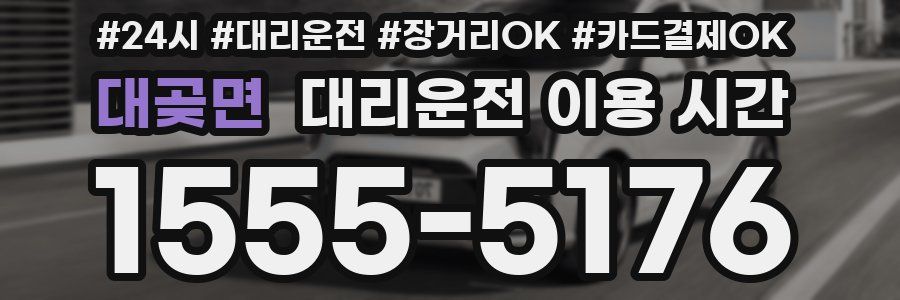 대곶면 대리운전 이용 시간