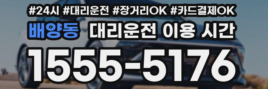 배양동 대리운전 이용 시간