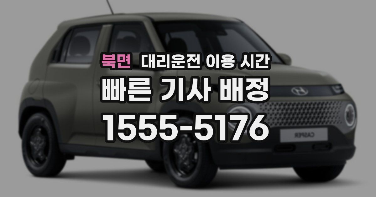 북면 대리운전 이용 시간