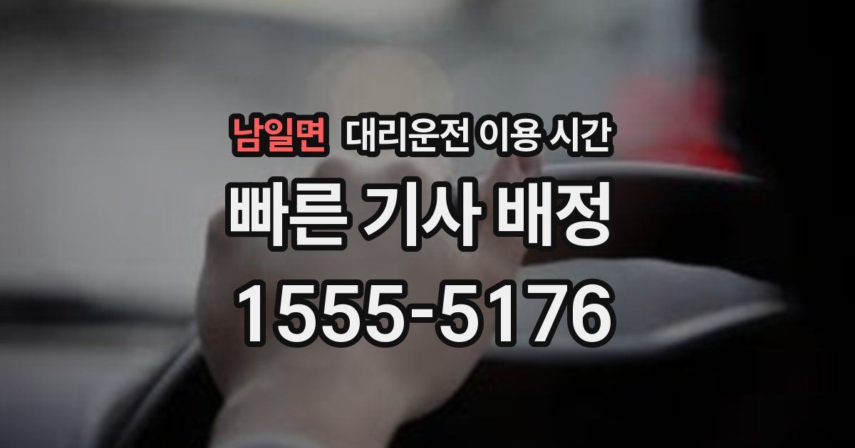 남일면 대리운전 이용 시간