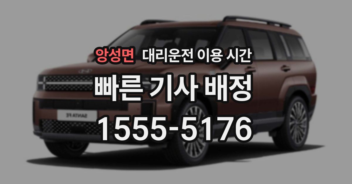 앙성면 대리운전 이용 시간