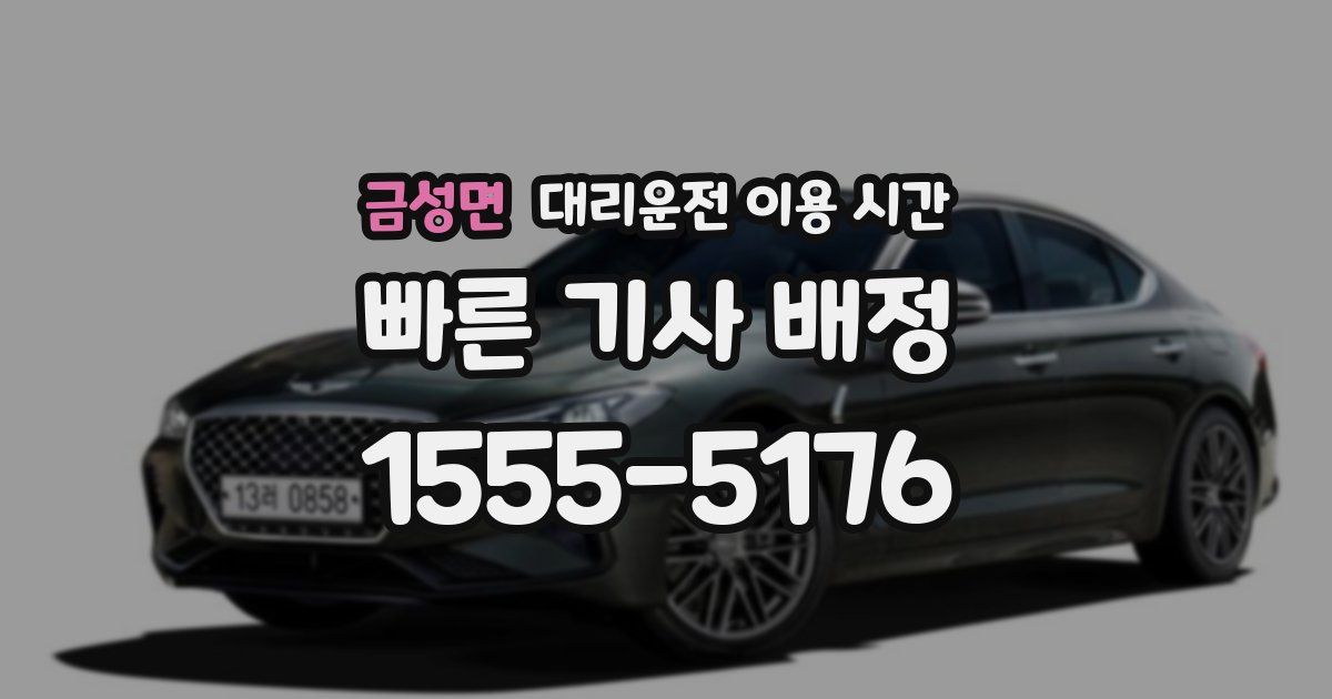 금성면 대리운전 이용 시간