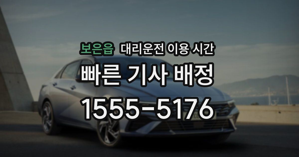 보은읍 대리운전 이용 시간