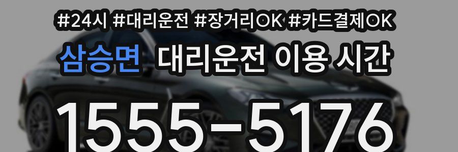 삼승면 대리운전 이용 시간