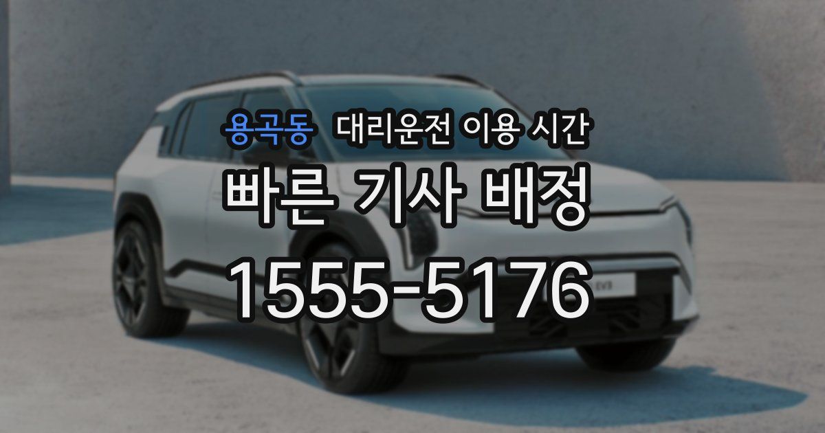 용곡동 대리운전 이용 시간
