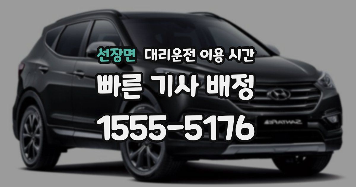 선장면 대리운전 이용 시간