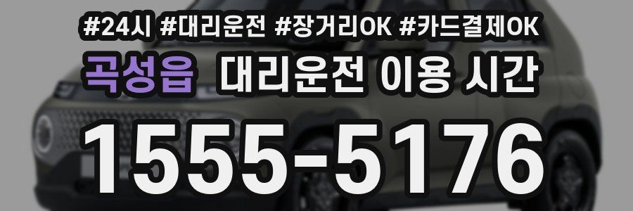 곡성읍 대리운전 이용 시간