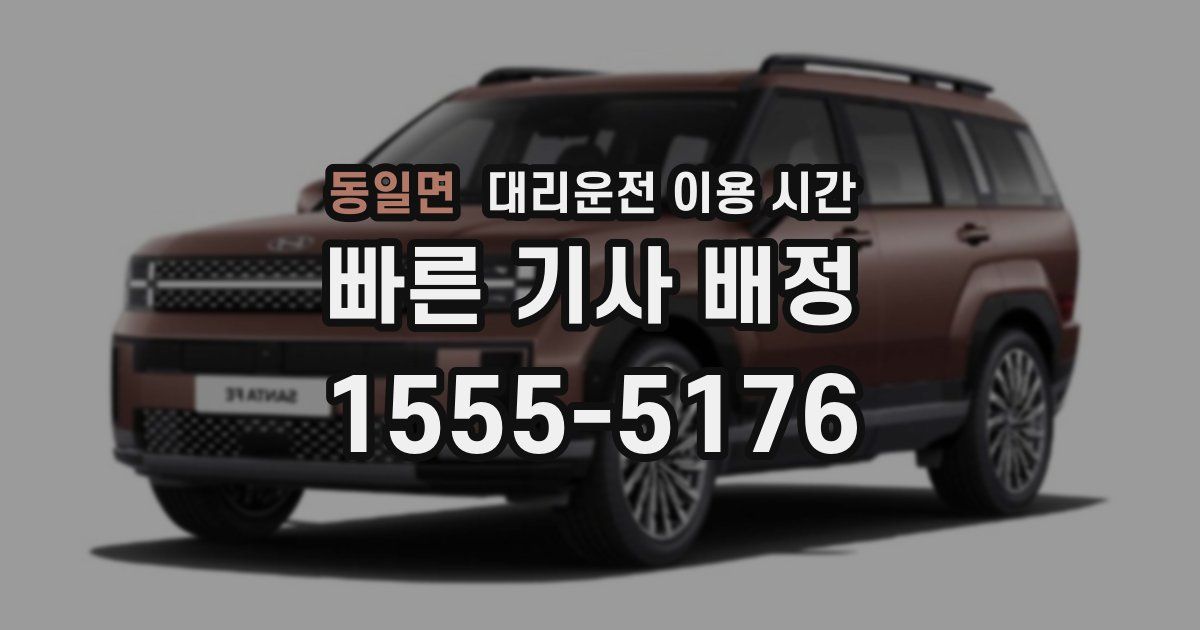 동일면 대리운전 이용 시간
