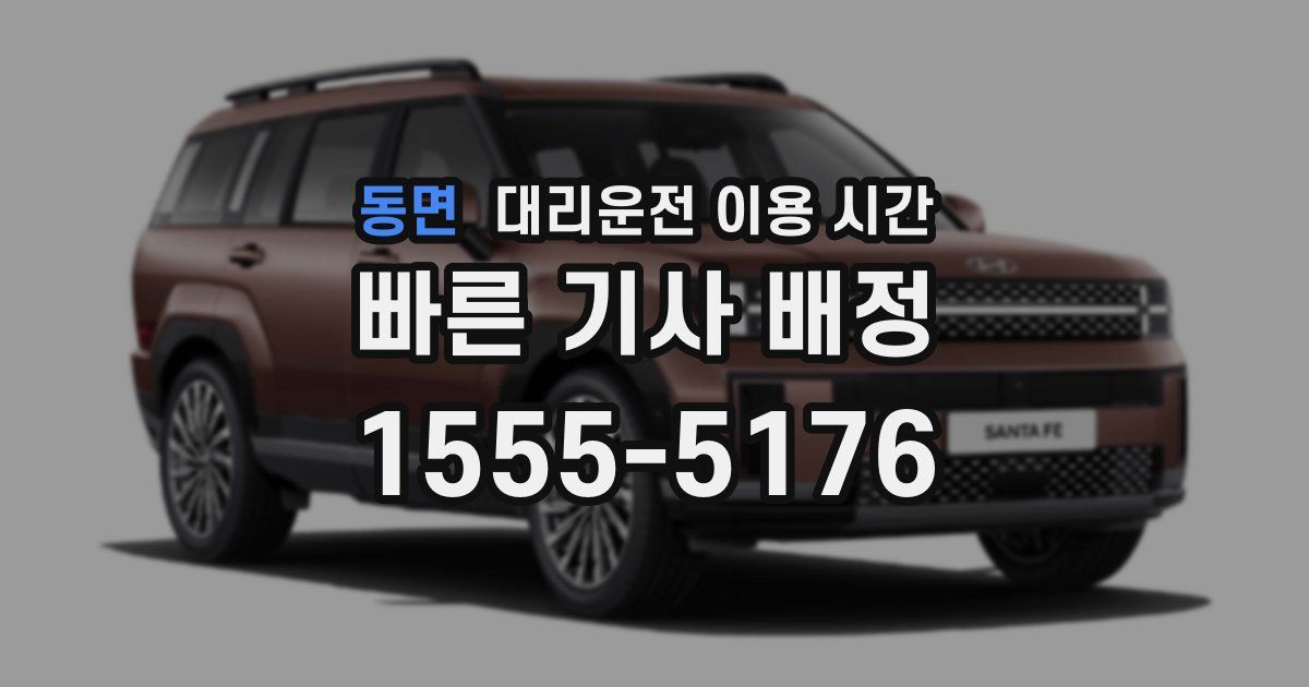 동면 대리운전 이용 시간