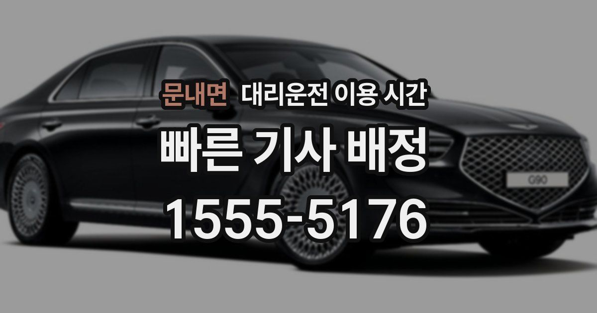 문내면 대리운전 이용 시간