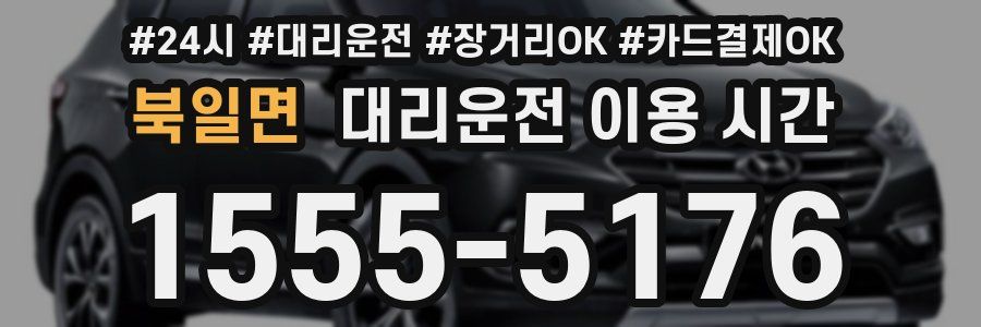 북일면 대리운전 이용 시간
