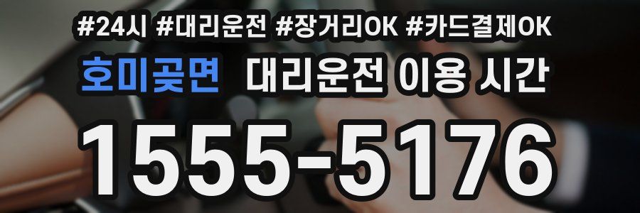 호미곶면 대리운전 이용 시간