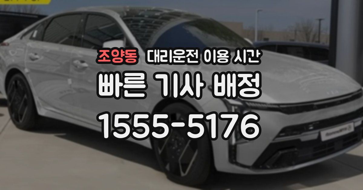 조양동 대리운전 이용 시간