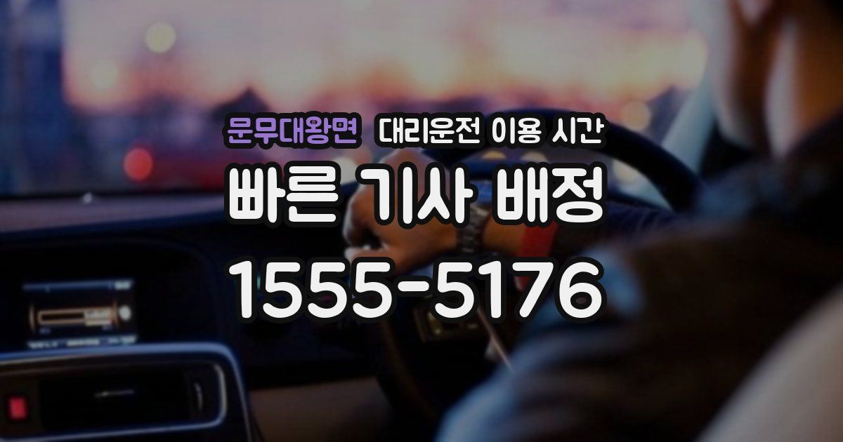 문무대왕면 대리운전 이용 시간
