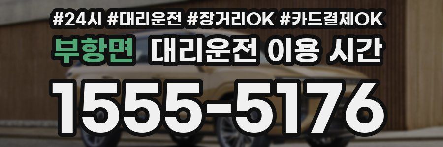 부항면 대리운전 이용 시간