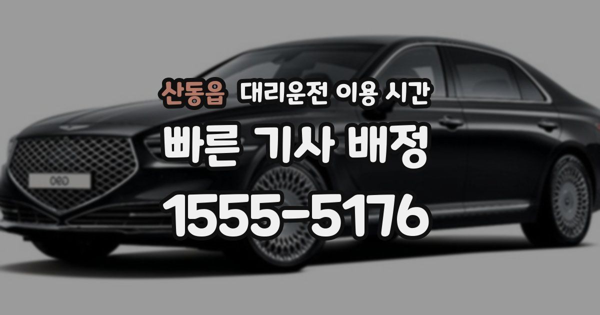 산동읍 대리운전 이용 시간