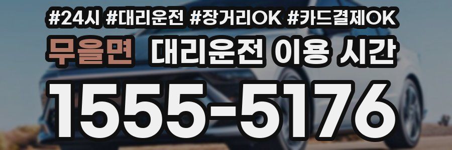 무을면 대리운전 이용 시간