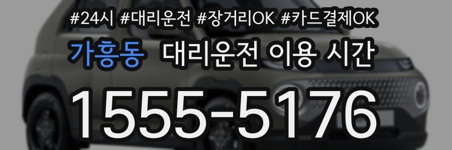 가흥동 대리운전 이용 시간