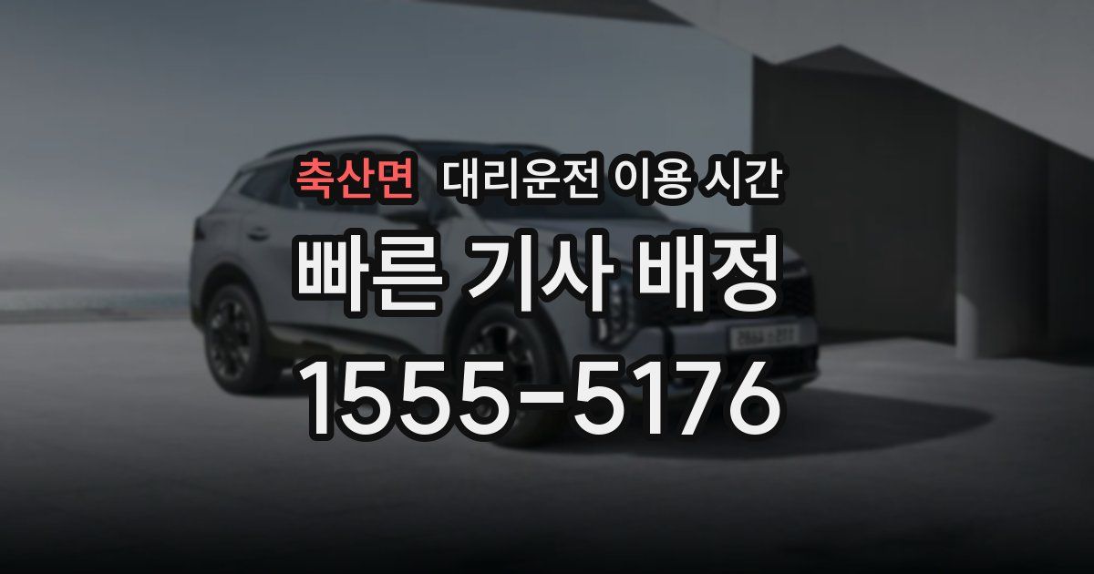 축산면 대리운전 이용 시간