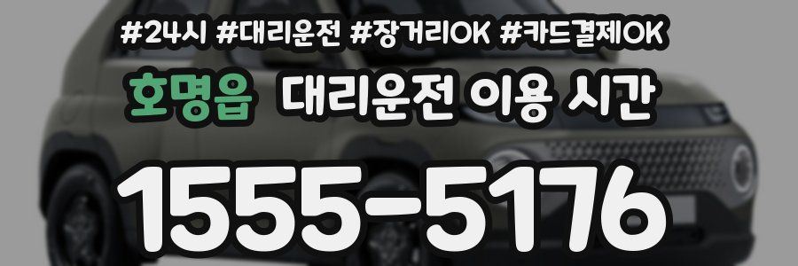 호명읍 대리운전 이용 시간