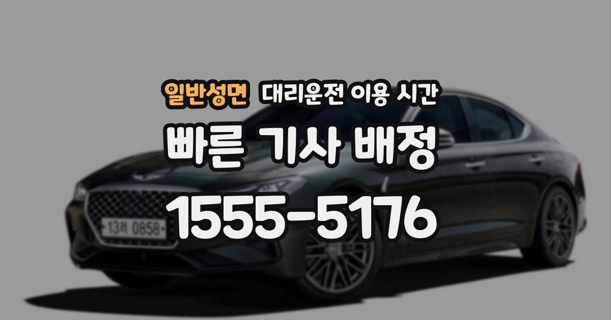 일반성면 대리운전 이용 시간