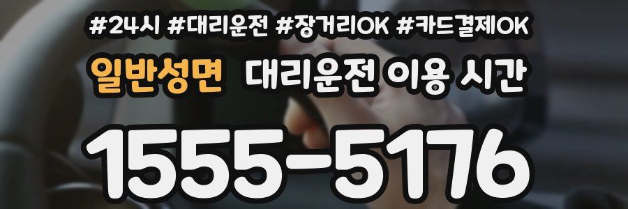 일반성면 대리운전 이용 시간