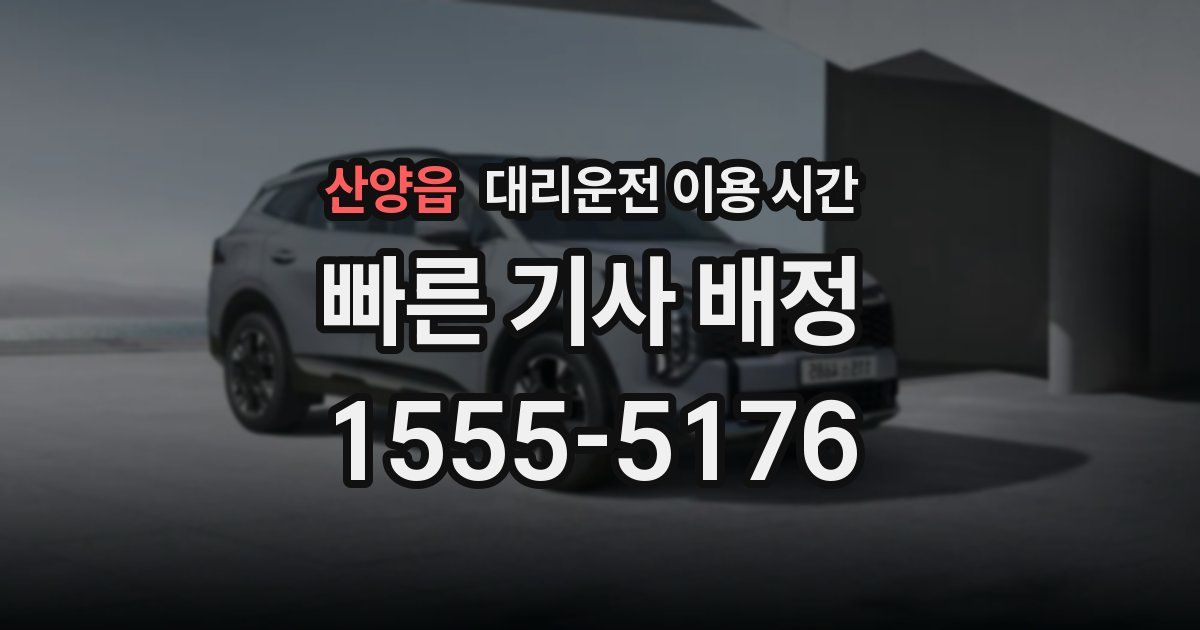 산양읍 대리운전 이용 시간
