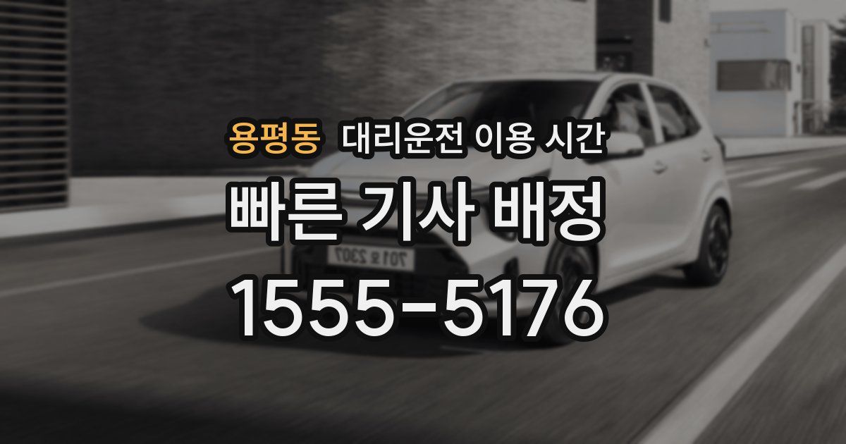 용평동 대리운전 이용 시간