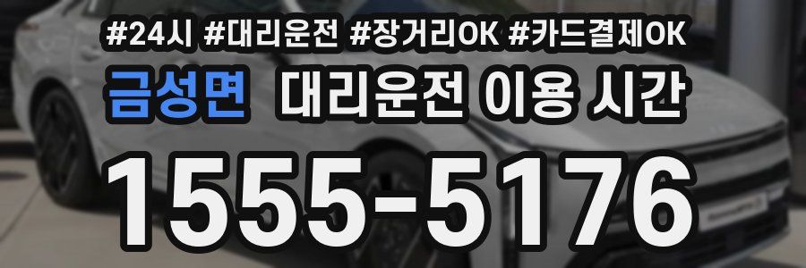 금성면 대리운전 이용 시간