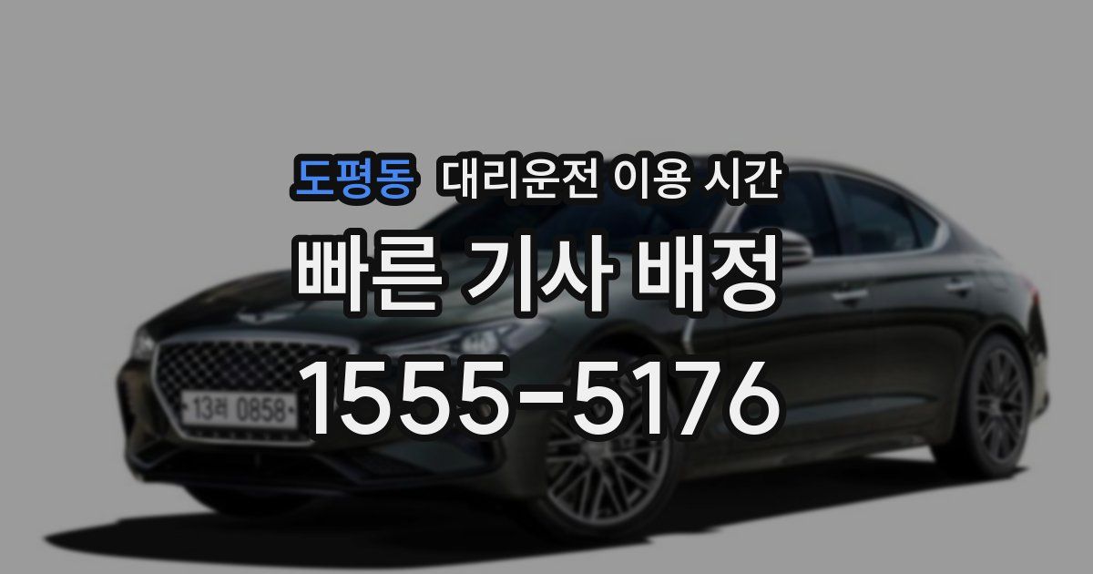 도평동 대리운전 이용 시간