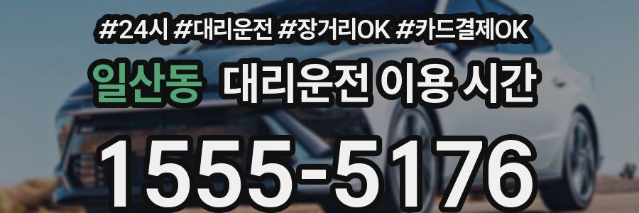 일산동 대리운전 이용 시간