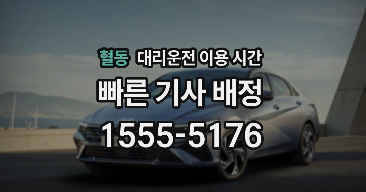 혈동 대리운전 이용 시간