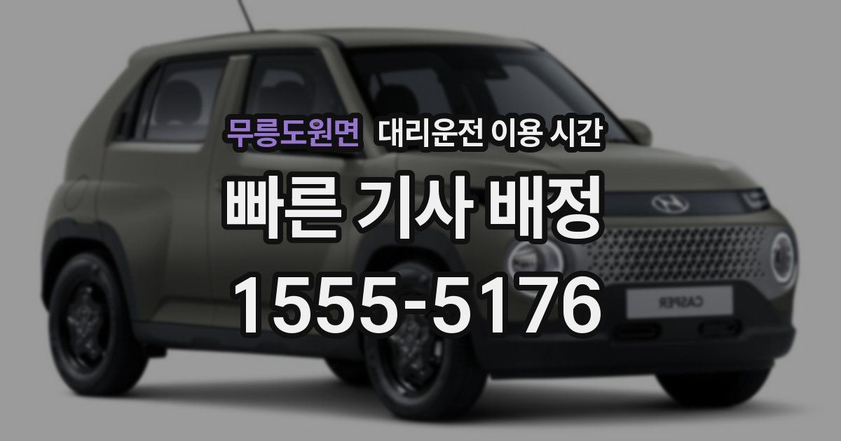 무릉도원면 대리운전 이용 시간