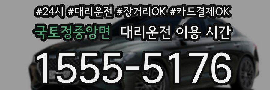 국토정중앙면 대리운전 이용 시간