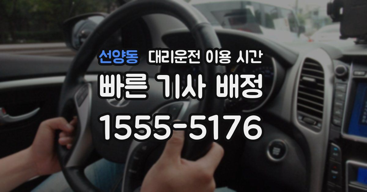 선양동 대리운전 이용 시간