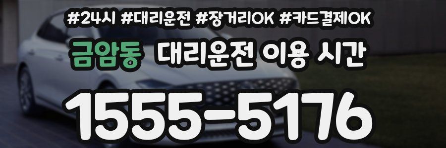 금암동 대리운전 이용 시간